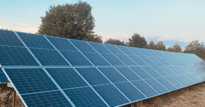 Kickstart Your Transition to Net Zero With Our Free Guide